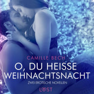 O, du heiße Weihnachtsnacht - Zwei erotische Novellen