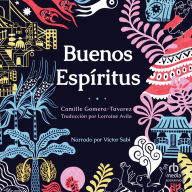 Buenos espíritus (High Spirits)