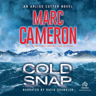 Cold Snap (Arliss Cutter Series #4)