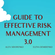 Guide to effective risk management: Implementing risk management 2