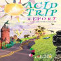 Acid Trip Report