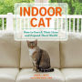 Indoor Cat: How to Enrich Their Lives and Expand Their World