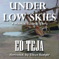 Under Low Skies: A Caribbean Thriller