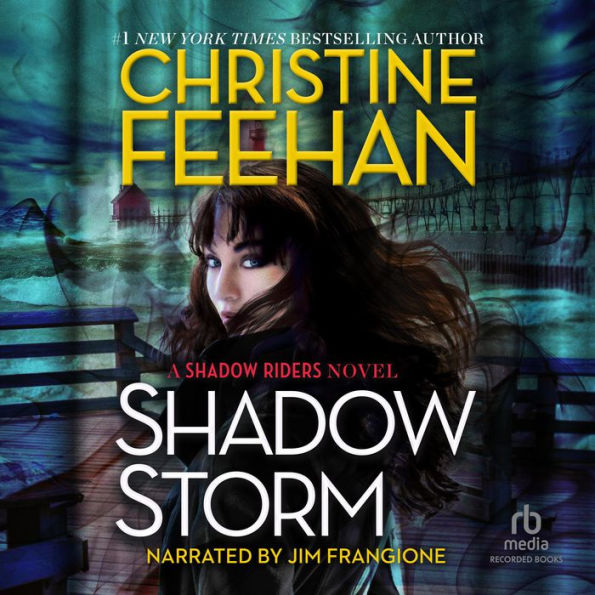 Shadow Storm (Shadow Riders Series #6)