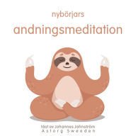 Nybörjare andedräkt meditation: wellness Essentials