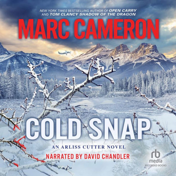 Cold Snap (Arliss Cutter Series #4)