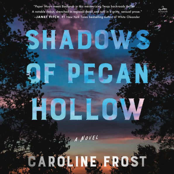 Shadows of Pecan Hollow: A Novel