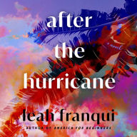 After the Hurricane: A Novel