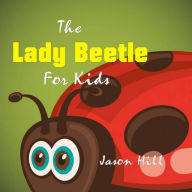 Lady Beetle for Kids