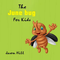 The June bug for Kids