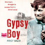 Gypsy Boy: One Boy's Struggle to Escape from a Secret World