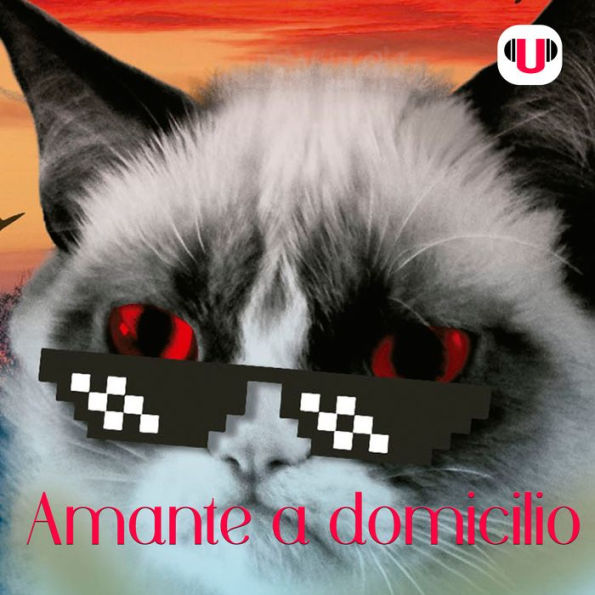 U_CAT: AMANTE A DOMICILIO