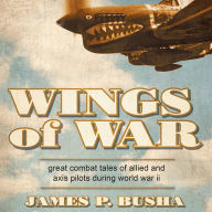 Wings of War: Great Combat Tales of Allied and Axis Pilots During World War II