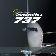 Introducción a Boeing 737