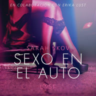 Sexo en el auto - Literatura erótica