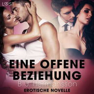 Eine offene Beziehung - Erotische Novelle