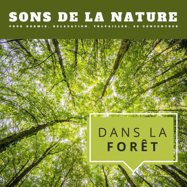 Dans la forêt: Sons de la nature pour dormir, relaxation, travailler, se concentrer