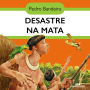 Desastre na mata