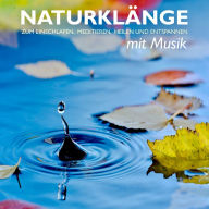 Naturklänge mit Musik - zum Einschlafen, Meditieren, Heilen und Entspannen: Ozeanwellen, Waldgeräusche, Regentropfen, Vogelstimmen, Bachlauf, Wasserfall, Entspannungsmusik, Einschlafmusik