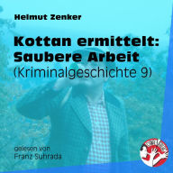 Kottan ermittelt: Saubere Arbeit: Kriminalgeschichte 9