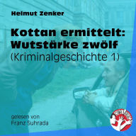 Kottan ermittelt: Wutstärke zwölf: Kriminalgeschichte 1