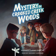 Mystery in Crooked Creek Woods: Tree Street Kids (Book 4)