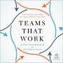 Teams That Work: The Seven Drivers of Team Effectiveness