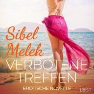 Verbotene Treffen - Erotische Novelle