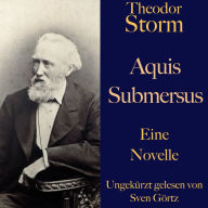 Theodor Storm: Aquis submersus: Eine Novelle. Ungekürzt gelesen.