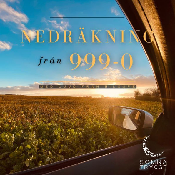 Nedräkning från 999-0: Ljud från bilkupé