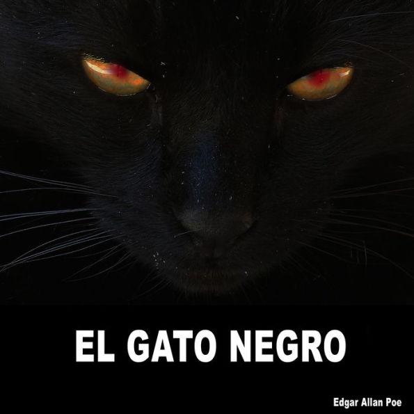 EL Gato Negro