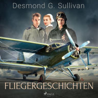 Fliegergeschichten