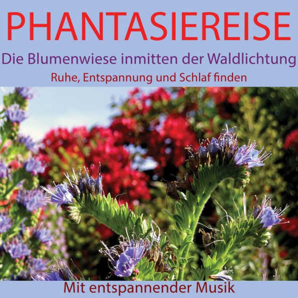 Phantasiereise: Die Blumenwiese inmitten der Waldlichtung: Ruhe, Entspannung und Schlaf finden. Mit entspannender Musik