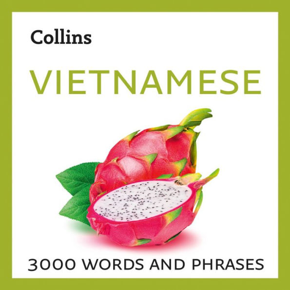 Learn Vietnamese: 3000 Essential words and phrases