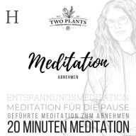 Meditation Abnehmen - Meditation H - 20 Minuten Meditation: Meditation für die Pause - Geführte Meditation zum Abnehmen - Entspannungsmeditation