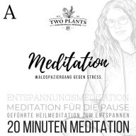 Waldspaziergang gegen Stress - Meditation A - 20 Minuten Meditation: Meditation für die Pause - Geführte Heilmeditation zum Entspannen - Entspannungsmeditation