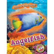 Angelfish