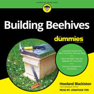 Building Beehives For Dummies