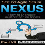 Scaled Agile Scrum: Nexus: How to Manage Multiple Scrum Teams