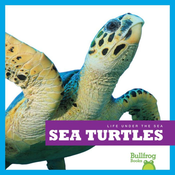 Sea Turtles