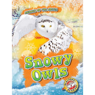 Snowy Owls