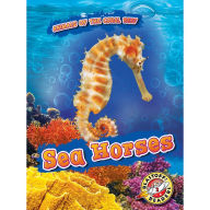 Sea Horses