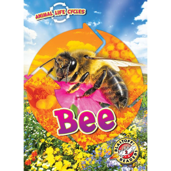 Animal Life Cycles: Bee