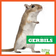 Gerbils