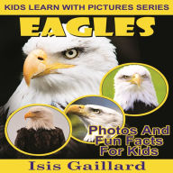 Eagles: Photos and Fun Facts for Kids