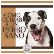 Cómo Cuidar A Un Perro Sano