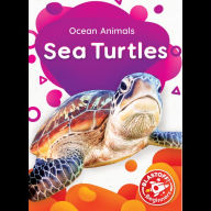 Sea Turtles