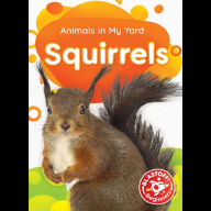 Squirrels