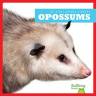 Opossums