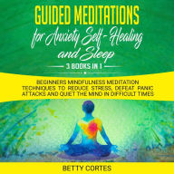 Guided Meditations for Anxiety, Self-Healing and Sleep: 3 Books in 1 Beginners Mindfulness Meditation Techniques to reduce Stress, defeat Panic Attacks and Quiet the Mind in difficult Times